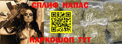 ешки Сланцы