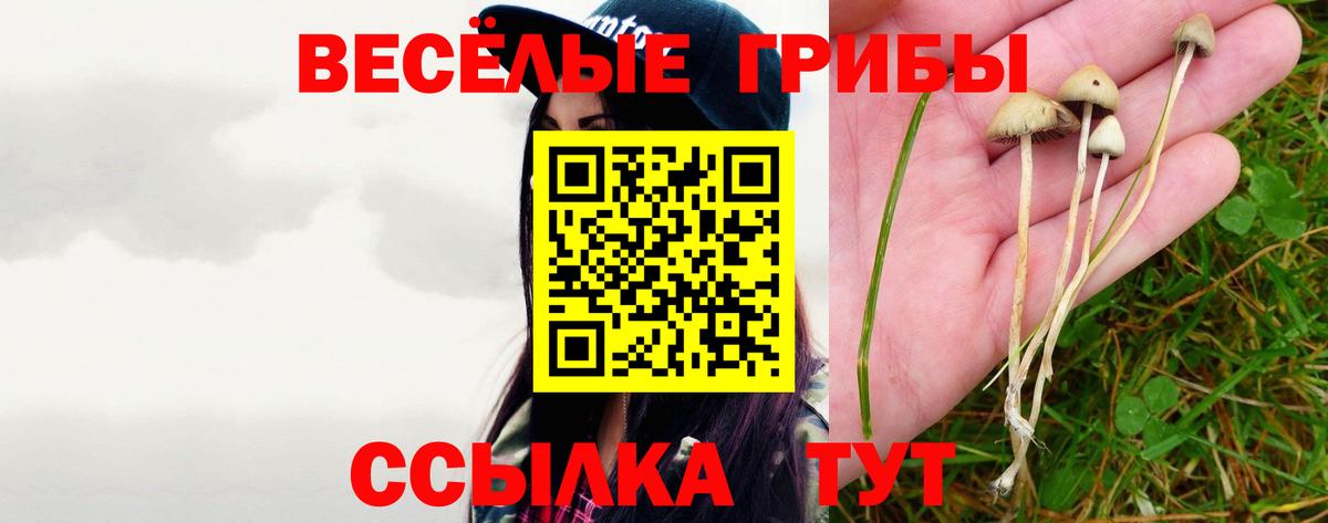 Галлюциногенные грибы ЛСД Новокубанск