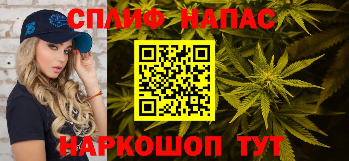 Каннабис планчик  Вход с VPN  Бошки марихуана Ganja  Новокубанск 